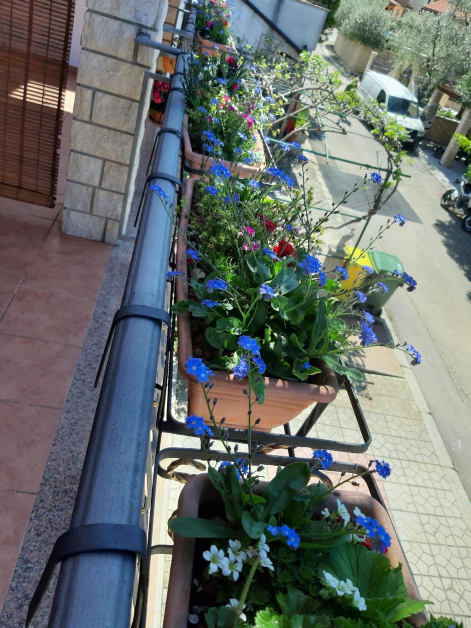 Apartamento Adria Vrsar Exterior foto